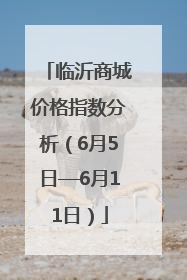 临沂商城价格指数分析（6月5日—6月11日）