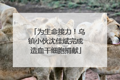 为生命接力！乌镇小伙沈佳斌完成造血干细胞捐献