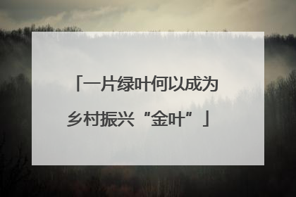 一片绿叶何以成为乡村振兴“金叶”