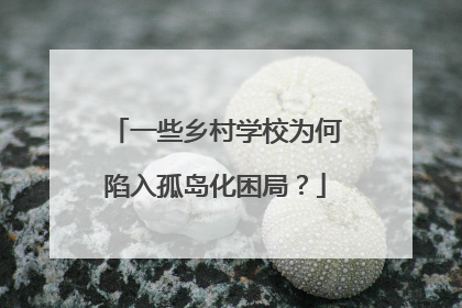 一些乡村学校为何陷入孤岛化困局？