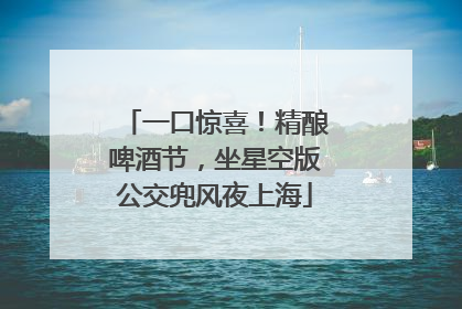一口惊喜！精酿啤酒节，坐星空版公交兜风夜上海