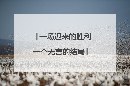 一场迟来的胜利 一个无言的结局