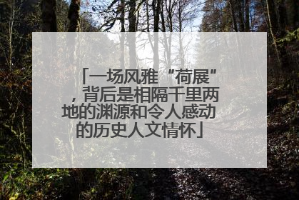 一场风雅“荷展”，背后是相隔千里两地的渊源和令人感动的历史人文情怀