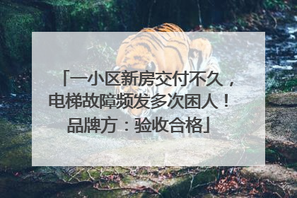 一小区新房交付不久，电梯故障频发多次困人！品牌方：验收合格