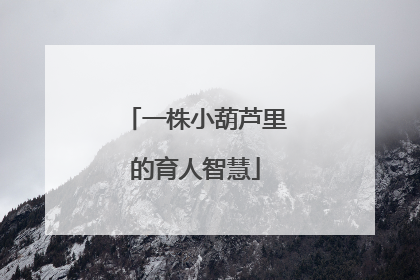 一株小葫芦里的育人智慧