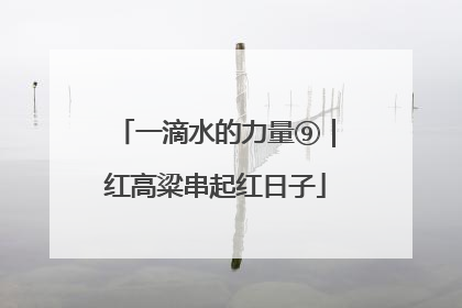 一滴水的力量⑨｜红高粱串起红日子