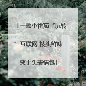 一颗小番茄“玩转”互联网 枝头鲜味变手头表情包