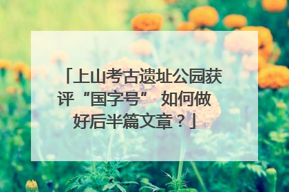 上山考古遗址公园获评“国字号” 如何做好后半篇文章？