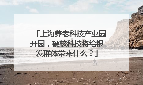 上海养老科技产业园开园，硬核科技将给银发群体带来什么？