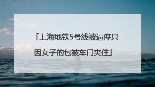 上海地铁5号线被逼停只因女子的包被车门夹住