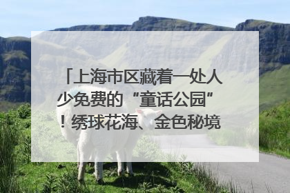 上海市区藏着一处人少免费的“童话公园”！绣球花海、金色秘境……地铁直达→