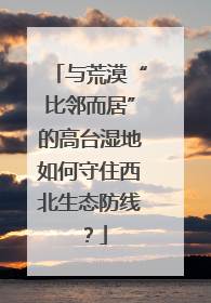 与荒漠“比邻而居”的高台湿地如何守住西北生态防线？