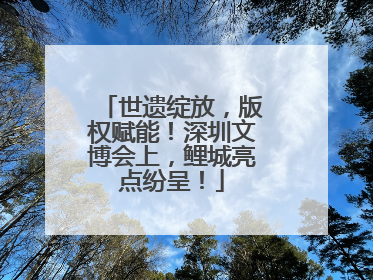 世遗绽放，版权赋能！深圳文博会上，鲤城亮点纷呈！