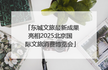 东城文旅最新成果亮相2025北京国际文旅消费博览会