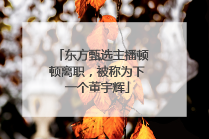 东方甄选主播顿顿离职，被称为下一个董宇辉