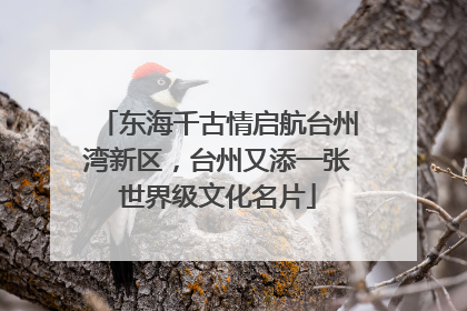 东海千古情启航台州湾新区，台州又添一张世界级文化名片