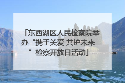 东西湖区人民检察院举办“携手关爱 共护未来”检察开放日活动