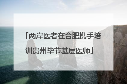 两岸医者在合肥携手培训贵州毕节基层医师