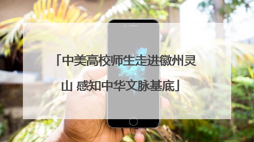 中美高校师生走进徽州灵山 感知中华文脉基底