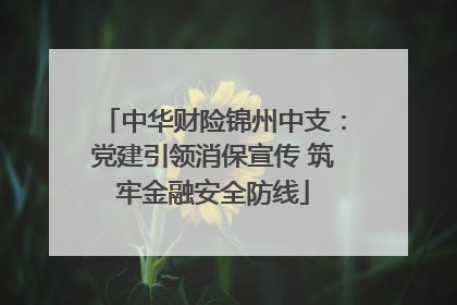 中华财险锦州中支：党建引领消保宣传 筑牢金融安全防线