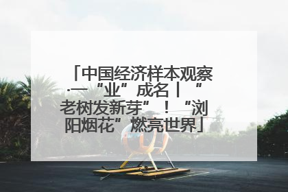 中国经济样本观察·一“业”成名丨“老树发新芽”！“浏阳烟花”燃亮世界