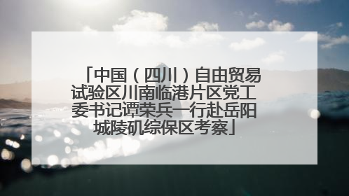 中国（四川）自由贸易试验区川南临港片区党工委书记谭荣兵一行赴岳阳城陵矶综保区考察