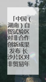 中国（湖南）自贸试验区对非合作创新成果发布 长沙片区对非贸易年均增长141%
