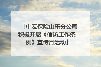 中宏保险山东分公司积极开展《信访工作条例》宣传月活动