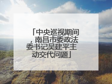 中央巡视期间，南昌市委政法委书记吴建平主动交代问题