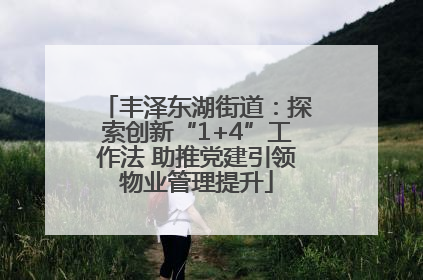 丰泽东湖街道：探索创新“1+4”工作法 助推党建引领物业管理提升