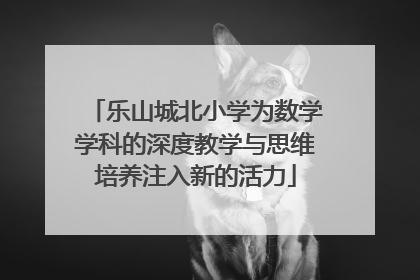 乐山城北小学为数学学科的深度教学与思维培养注入新的活力
