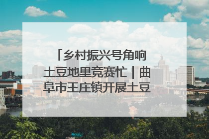 乡村振兴号角响 土豆地里竞赛忙|曲阜市王庄镇开展土豆收获劳动竞赛