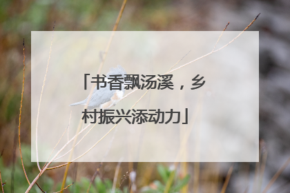 书香飘汤溪，乡村振兴添动力