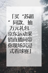 买“苏超”同款、抽万元礼包 京东运动采销直播间带你现场沉浸式看球赛