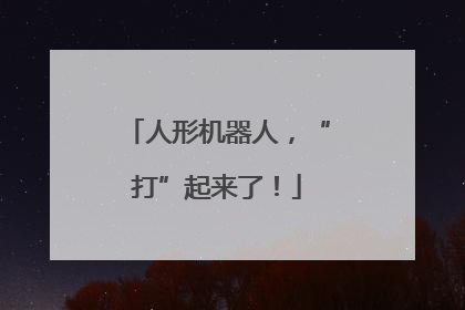 人形机器人，“打”起来了！