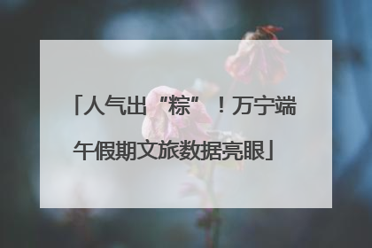 人气出“粽”！万宁端午假期文旅数据亮眼