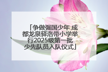 争做强国少年 成都龙泉驿洛带小学举行2025级第一批少先队员入队仪式