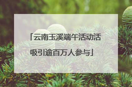 云南玉溪端午活动活吸引逾百万人参与