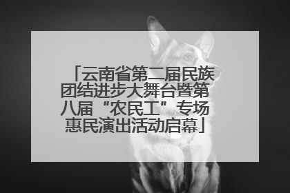 云南省第二届民族团结进步大舞台暨第八届“农民工”专场惠民演出活动启幕