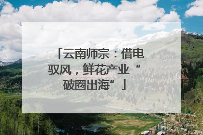 云南师宗：借电驭风，鲜花产业“破圈出海”