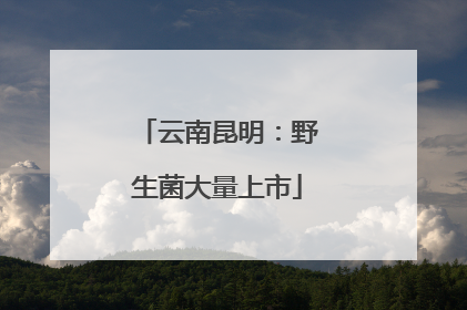 云南昆明：野生菌大量上市
