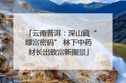 云南普洱：深山藏“绿富密码” 林下中药材长出致富新图景