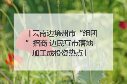 云南边境州市“组团”招商 边民互市落地加工成投资热点