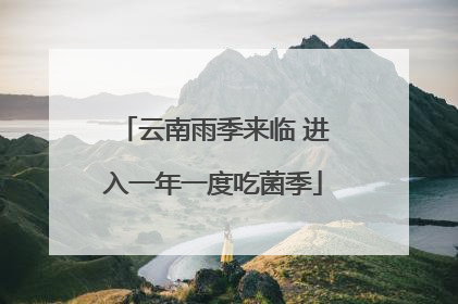 云南雨季来临 进入一年一度吃菌季