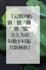 云霄列屿镇：提“颜”增“质” 久久为功勾勒乡村振兴新画卷