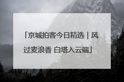 京城拍客今日精选｜风过麦浪香 白塔入云端