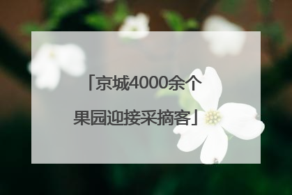 京城4000余个果园迎接采摘客