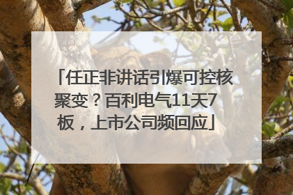 任正非讲话引爆可控核聚变？百利电气11天7板，上市公司频回应