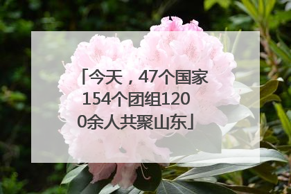 今天，47个国家154个团组1200余人共聚山东