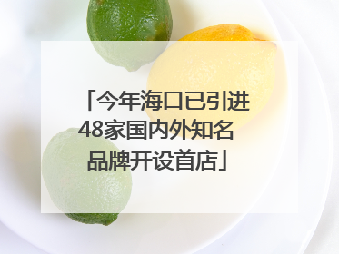 今年海口已引进48家国内外知名品牌开设首店